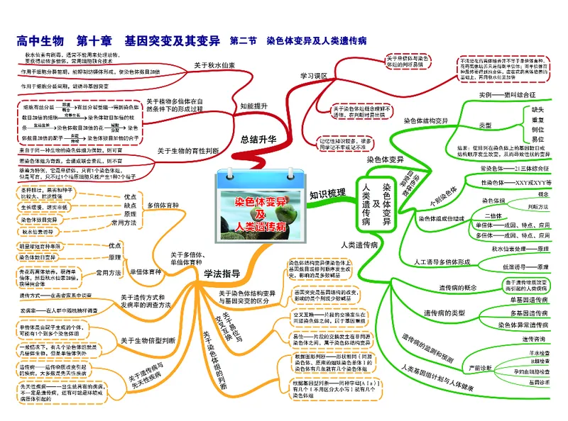 高中生物-思维导图（45图）_高中全科学习导图全套_（赠送）小学、初中、高中全科九门精品思维导图（621图）-可下载打印）