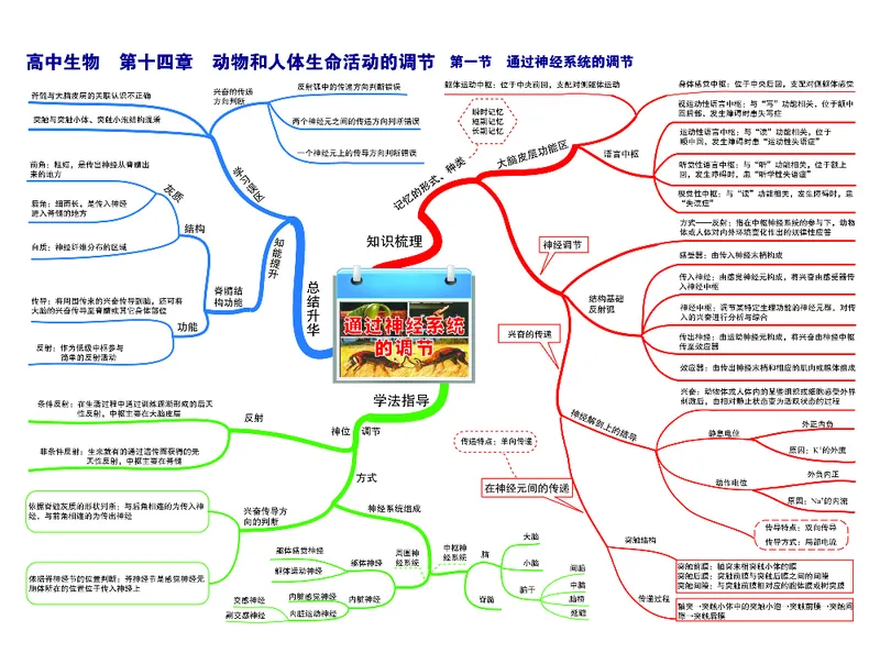 高中生物-思维导图（45图）_高中全科学习导图全套_（赠送）小学、初中、高中全科九门精品思维导图（621图）-可下载打印）