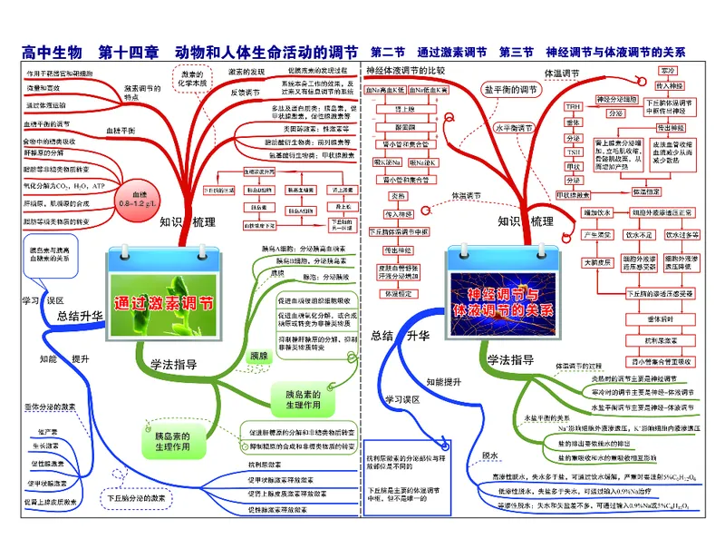高中生物-思维导图（45图）_高中全科学习导图全套_（赠送）小学、初中、高中全科九门精品思维导图（621图）-可下载打印）