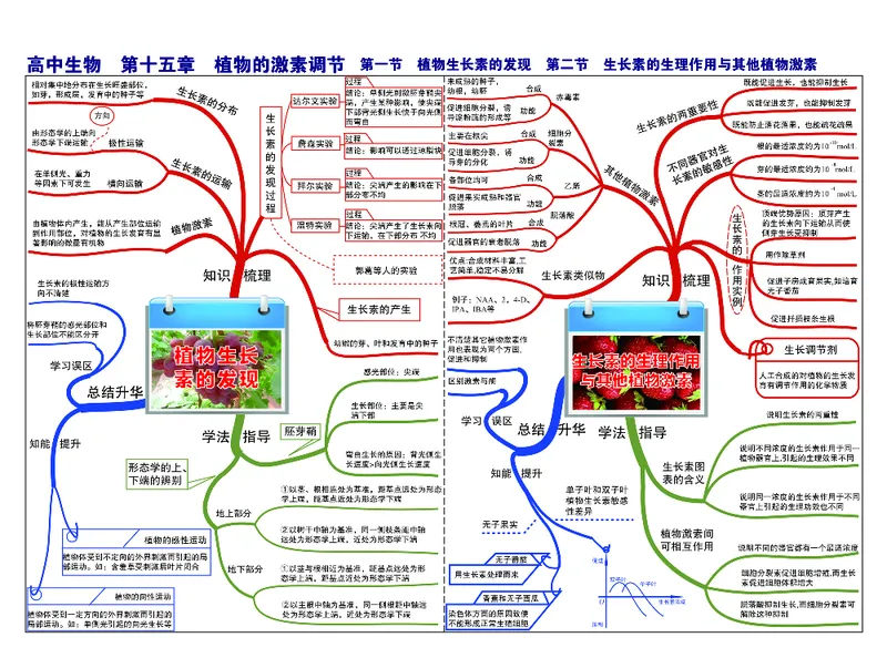 高中生物-思维导图（45图）_高中全科学习导图全套_（赠送）小学、初中、高中全科九门精品思维导图（621图）-可下载打印）