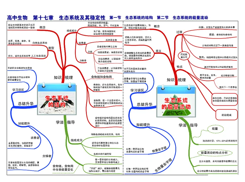 高中生物-思维导图（45图）_高中全科学习导图全套_（赠送）小学、初中、高中全科九门精品思维导图（621图）-可下载打印）