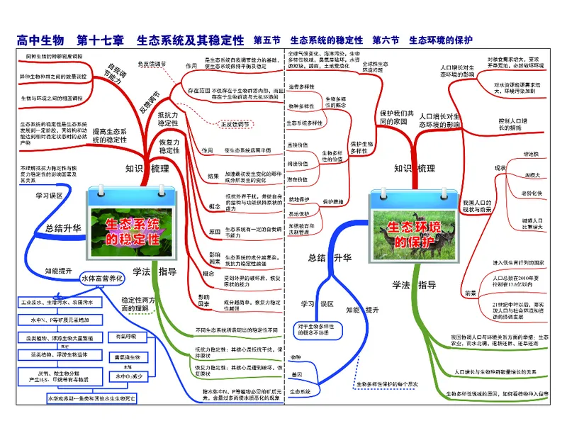 高中生物-思维导图（45图）_高中全科学习导图全套_（赠送）小学、初中、高中全科九门精品思维导图（621图）-可下载打印）