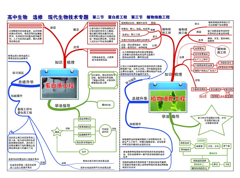 高中生物-思维导图（45图）_高中全科学习导图全套_（赠送）小学、初中、高中全科九门精品思维导图（621图）-可下载打印）