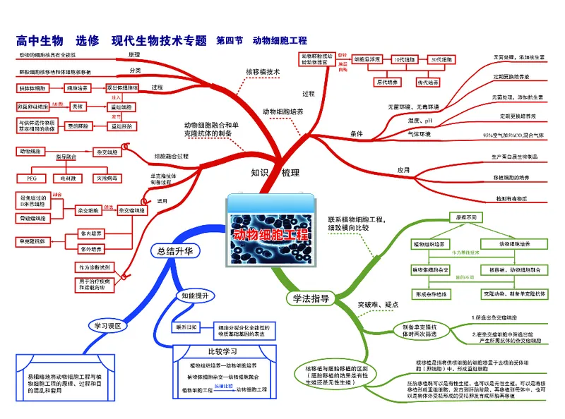 高中生物-思维导图（45图）_高中全科学习导图全套_（赠送）小学、初中、高中全科九门精品思维导图（621图）-可下载打印）