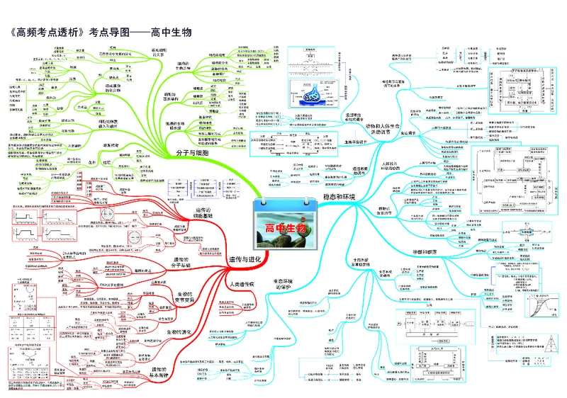 高中生物-思维导图（45图）_高中全科学习导图全套_（赠送）小学、初中、高中全科九门精品思维导图（621图）-可下载打印）