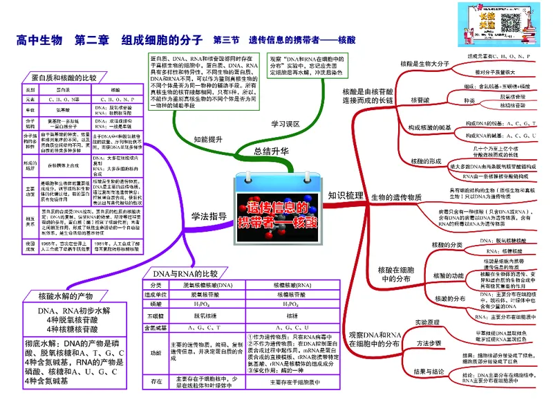 高中生物-思维导图（45图）_高中全科学习导图全套_（赠送）小学、初中、高中全科九门精品思维导图（621图）-可下载打印）