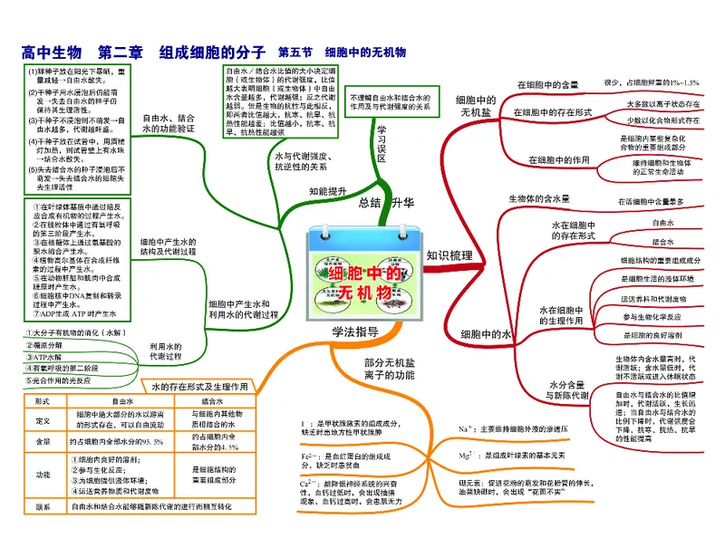 高中生物-思维导图（45图）_高中全科学习导图全套_（赠送）小学、初中、高中全科九门精品思维导图（621图）-可下载打印）