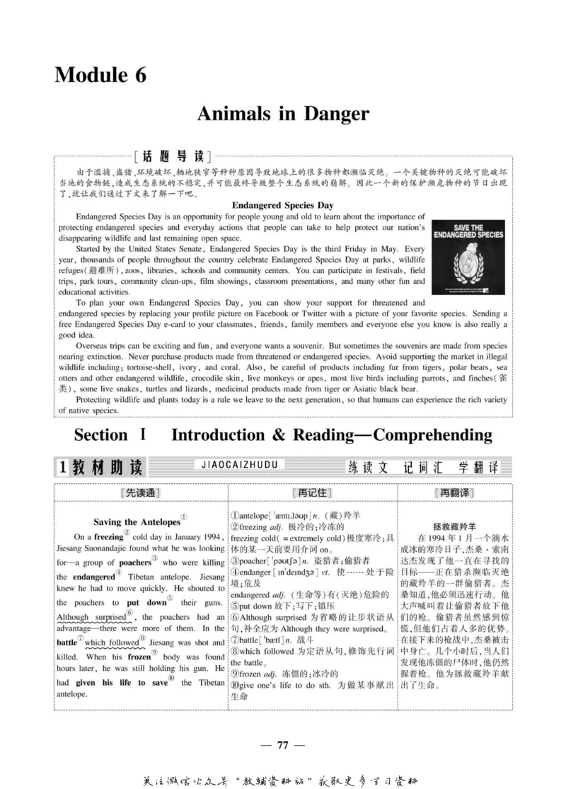 名师同步导学英语外研版必修5_名师同步导学_高中英语