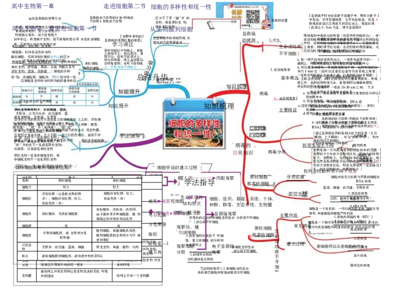 高中生物-思维导图（45图）_高中全科学习导图全套_（赠送）小学、初中、高中全科九门精品思维导图（621图）-可下载打印）