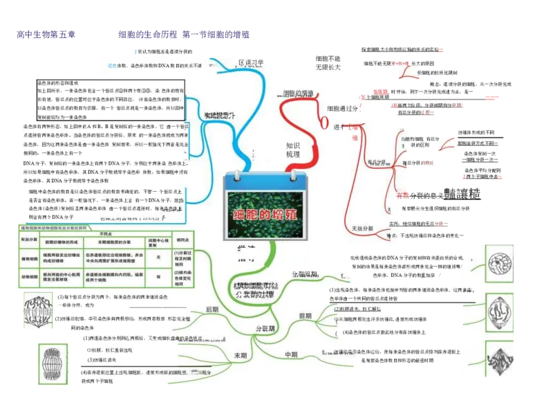 高中生物-思维导图（45图）_高中全科学习导图全套_（赠送）小学、初中、高中全科九门精品思维导图（621图）-可下载打印）