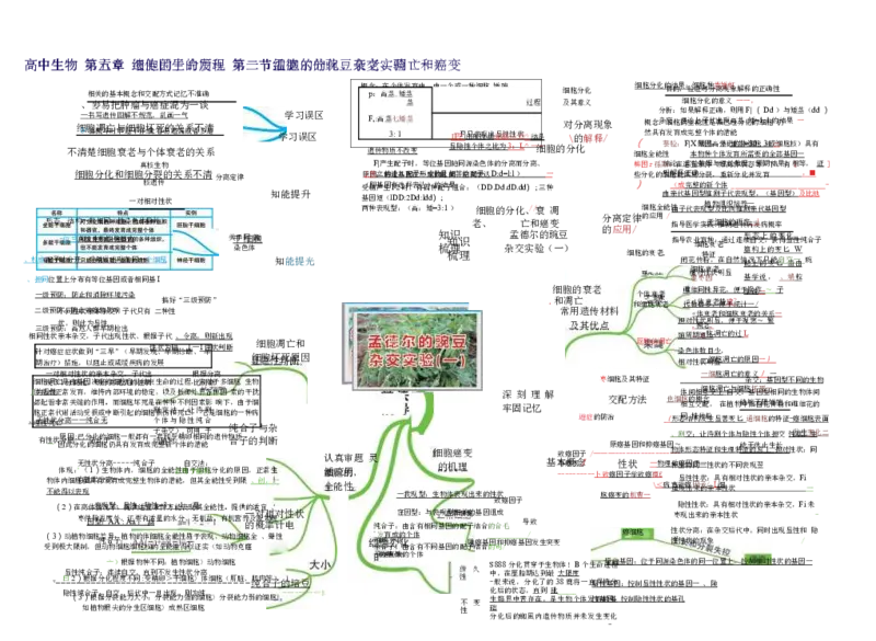 高中生物-思维导图（45图）_高中全科学习导图全套_（赠送）小学、初中、高中全科九门精品思维导图（621图）-可下载打印）
