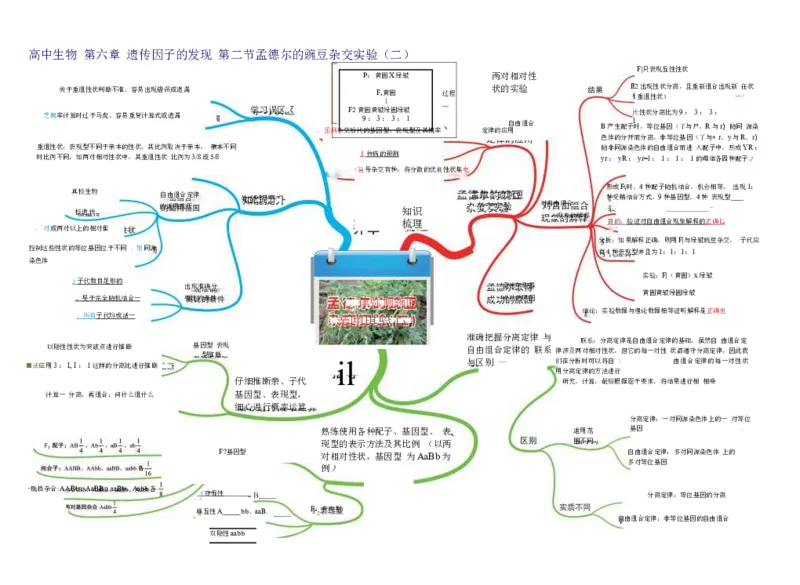 高中生物-思维导图（45图）_高中全科学习导图全套_（赠送）小学、初中、高中全科九门精品思维导图（621图）-可下载打印）