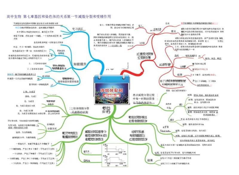 高中生物-思维导图（45图）_高中全科学习导图全套_（赠送）小学、初中、高中全科九门精品思维导图（621图）-可下载打印）