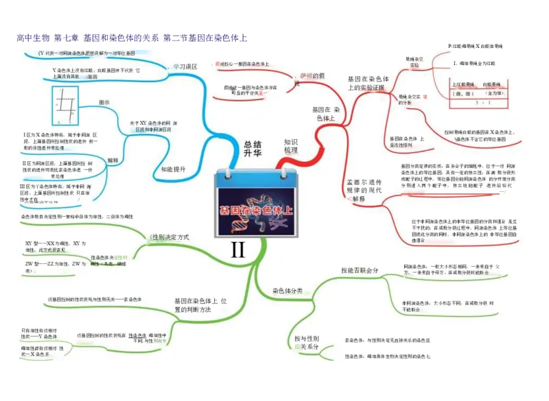 高中生物-思维导图（45图）_高中全科学习导图全套_（赠送）小学、初中、高中全科九门精品思维导图（621图）-可下载打印）