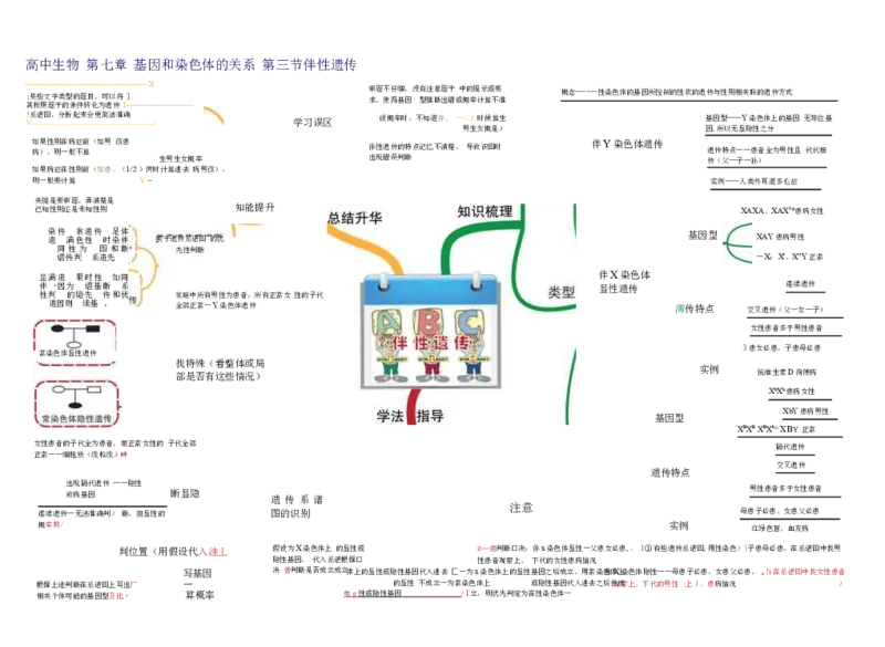 高中生物-思维导图（45图）_高中全科学习导图全套_（赠送）小学、初中、高中全科九门精品思维导图（621图）-可下载打印）