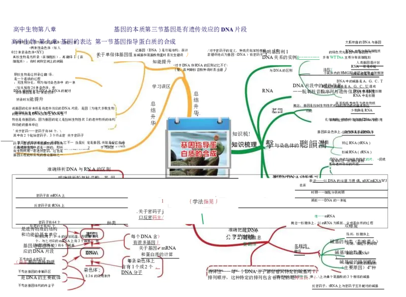 高中生物-思维导图（45图）_高中全科学习导图全套_（赠送）小学、初中、高中全科九门精品思维导图（621图）-可下载打印）