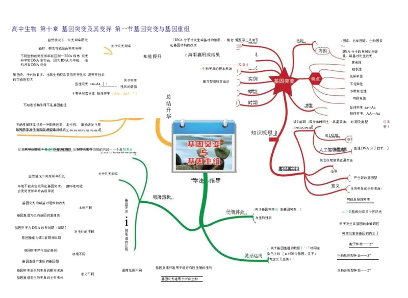 高中生物-思维导图（45图）_高中全科学习导图全套_（赠送）小学、初中、高中全科九门精品思维导图（621图）-可下载打印）