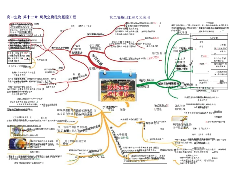 高中生物-思维导图（45图）_高中全科学习导图全套_（赠送）小学、初中、高中全科九门精品思维导图（621图）-可下载打印）