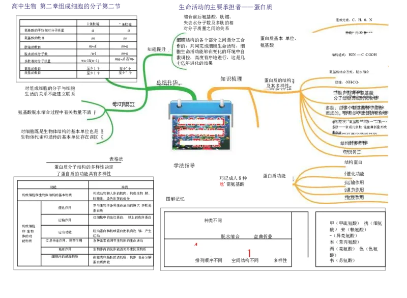 高中生物-思维导图（45图）_高中全科学习导图全套_（赠送）小学、初中、高中全科九门精品思维导图（621图）-可下载打印）