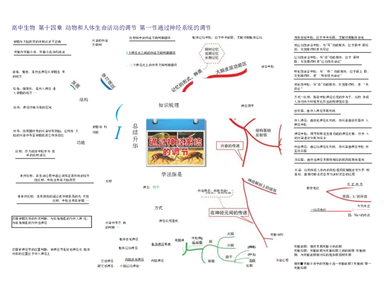 高中生物-思维导图（45图）_高中全科学习导图全套_（赠送）小学、初中、高中全科九门精品思维导图（621图）-可下载打印）