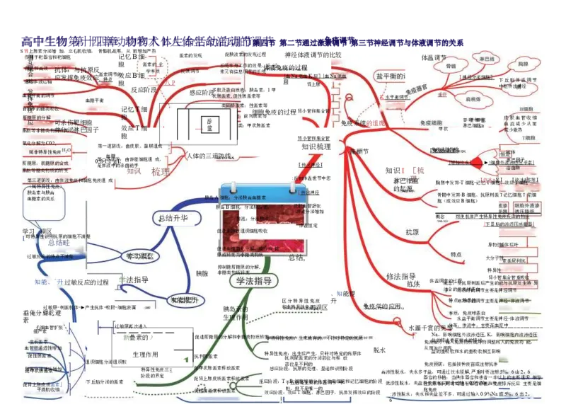 高中生物-思维导图（45图）_高中全科学习导图全套_（赠送）小学、初中、高中全科九门精品思维导图（621图）-可下载打印）