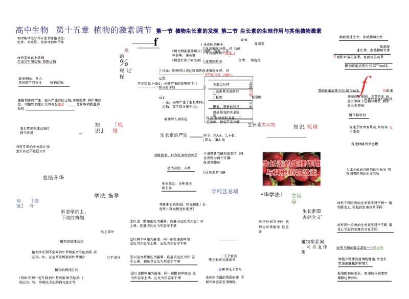 高中生物-思维导图（45图）_高中全科学习导图全套_（赠送）小学、初中、高中全科九门精品思维导图（621图）-可下载打印）