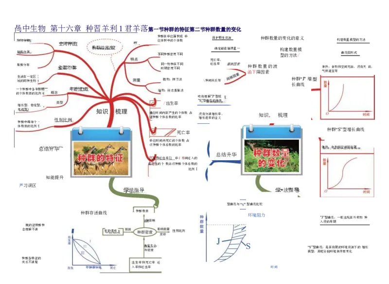 高中生物-思维导图（45图）_高中全科学习导图全套_（赠送）小学、初中、高中全科九门精品思维导图（621图）-可下载打印）