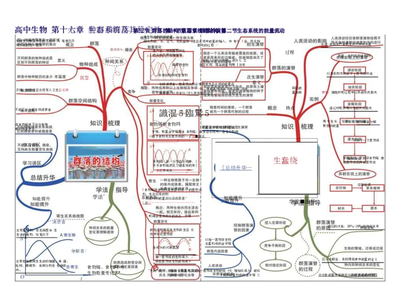 高中生物-思维导图（45图）_高中全科学习导图全套_（赠送）小学、初中、高中全科九门精品思维导图（621图）-可下载打印）