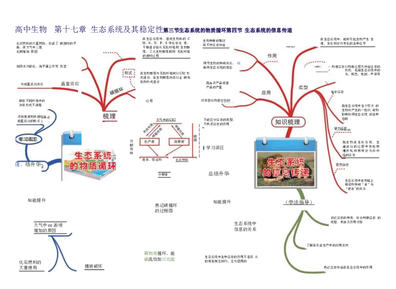 高中生物-思维导图（45图）_高中全科学习导图全套_（赠送）小学、初中、高中全科九门精品思维导图（621图）-可下载打印）