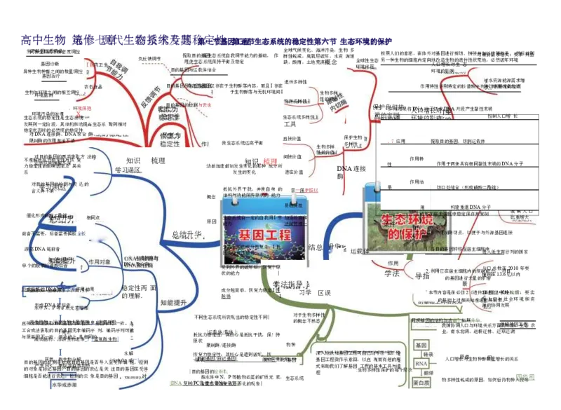 高中生物-思维导图（45图）_高中全科学习导图全套_（赠送）小学、初中、高中全科九门精品思维导图（621图）-可下载打印）