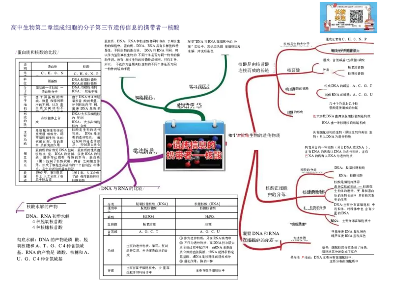 高中生物-思维导图（45图）_高中全科学习导图全套_（赠送）小学、初中、高中全科九门精品思维导图（621图）-可下载打印）