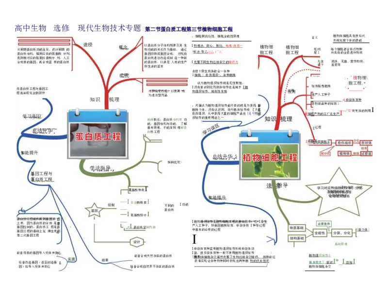 高中生物-思维导图（45图）_高中全科学习导图全套_（赠送）小学、初中、高中全科九门精品思维导图（621图）-可下载打印）