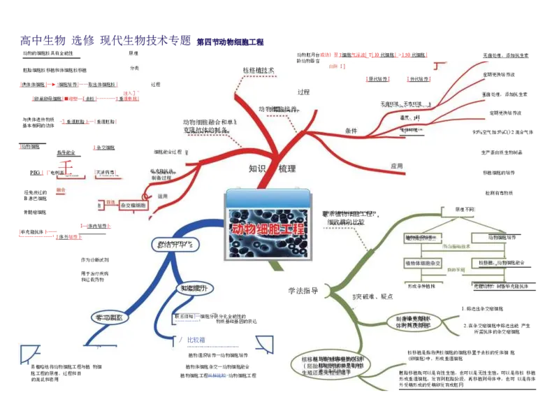 高中生物-思维导图（45图）_高中全科学习导图全套_（赠送）小学、初中、高中全科九门精品思维导图（621图）-可下载打印）