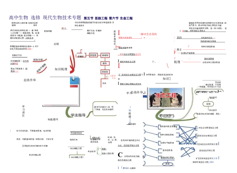 高中生物-思维导图（45图）_高中全科学习导图全套_（赠送）小学、初中、高中全科九门精品思维导图（621图）-可下载打印）