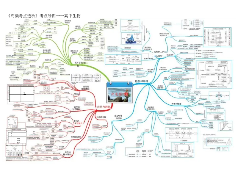 高中生物-思维导图（45图）_高中全科学习导图全套_（赠送）小学、初中、高中全科九门精品思维导图（621图）-可下载打印）