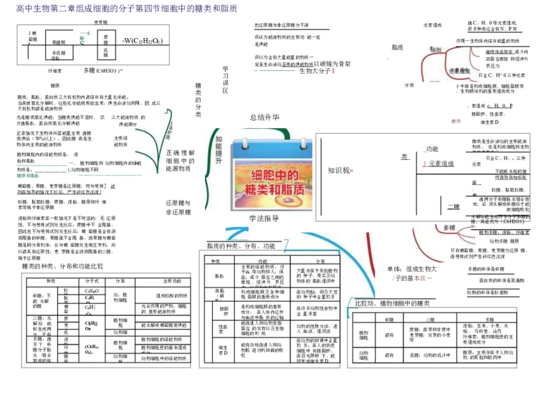高中生物-思维导图（45图）_高中全科学习导图全套_（赠送）小学、初中、高中全科九门精品思维导图（621图）-可下载打印）