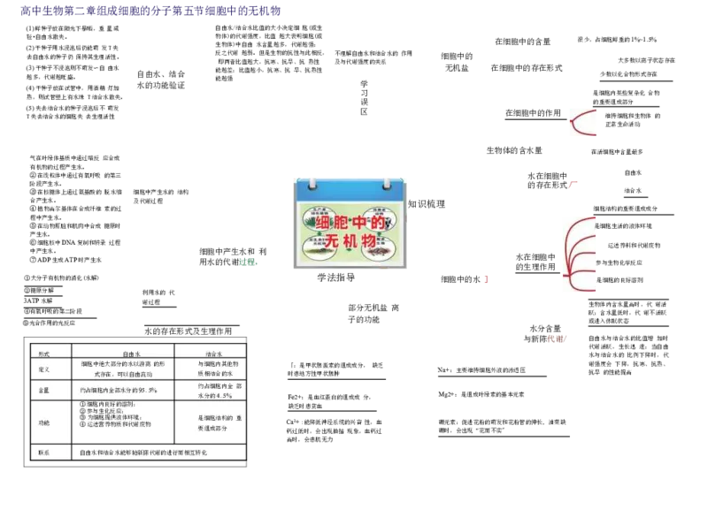 高中生物-思维导图（45图）_高中全科学习导图全套_（赠送）小学、初中、高中全科九门精品思维导图（621图）-可下载打印）
