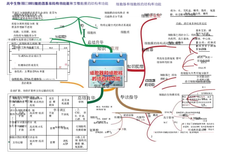 高中生物-思维导图（45图）_高中全科学习导图全套_（赠送）小学、初中、高中全科九门精品思维导图（621图）-可下载打印）
