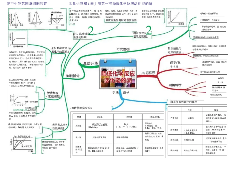 高中生物-思维导图（45图）_高中全科学习导图全套_（赠送）小学、初中、高中全科九门精品思维导图（621图）-可下载打印）