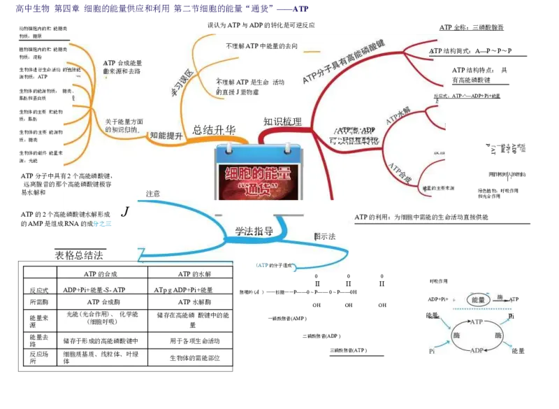 高中生物-思维导图（45图）_高中全科学习导图全套_（赠送）小学、初中、高中全科九门精品思维导图（621图）-可下载打印）