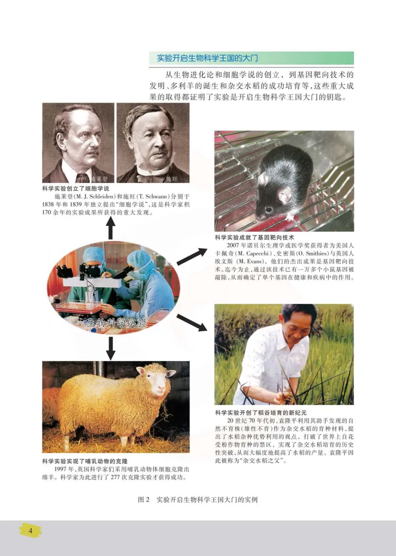 生物选修1生物技术实践_高中课本电子全科人教版语数英政历地物化生必修选修全套课本PPT_高中课本苏教版_高中生物苏教版