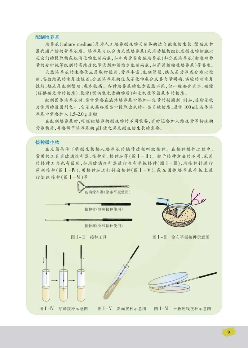 生物选修1生物技术实践_高中课本电子全科人教版语数英政历地物化生必修选修全套课本PPT_高中课本苏教版_高中生物苏教版