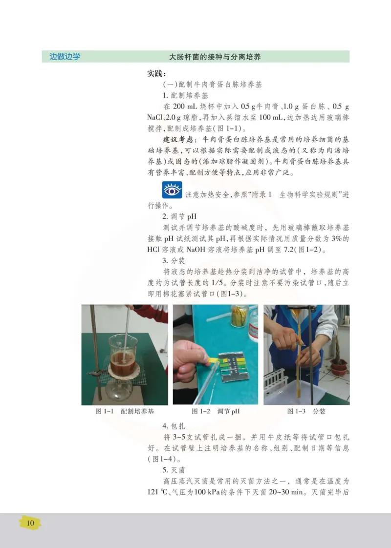 生物选修1生物技术实践_高中课本电子全科人教版语数英政历地物化生必修选修全套课本PPT_高中课本苏教版_高中生物苏教版