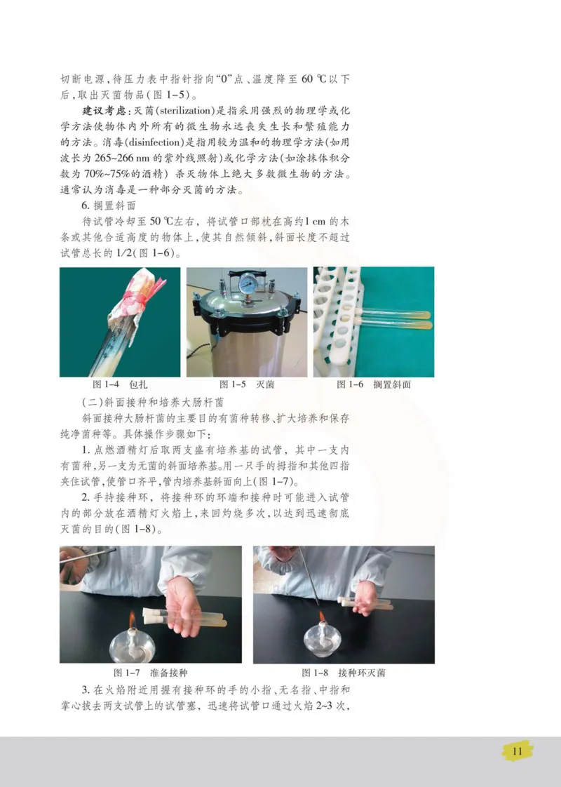 生物选修1生物技术实践_高中课本电子全科人教版语数英政历地物化生必修选修全套课本PPT_高中课本苏教版_高中生物苏教版