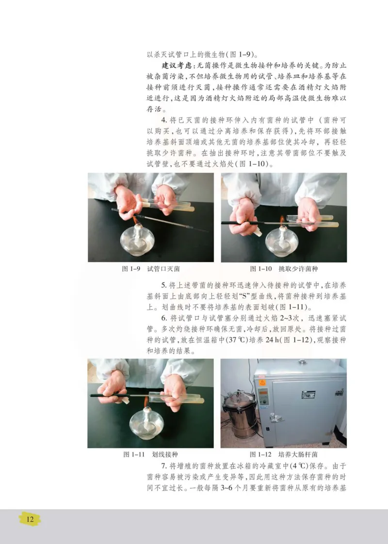 生物选修1生物技术实践_高中课本电子全科人教版语数英政历地物化生必修选修全套课本PPT_高中课本苏教版_高中生物苏教版