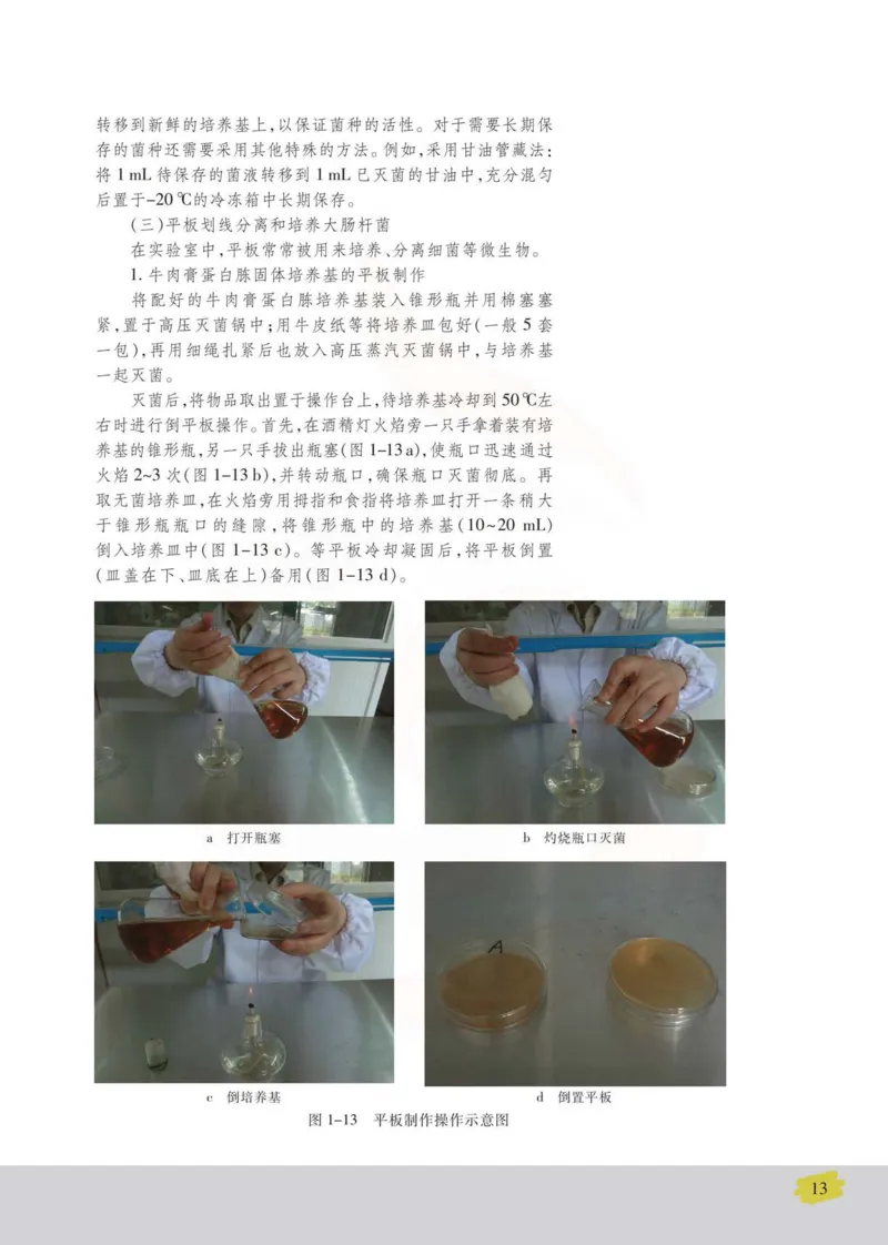 生物选修1生物技术实践_高中课本电子全科人教版语数英政历地物化生必修选修全套课本PPT_高中课本苏教版_高中生物苏教版