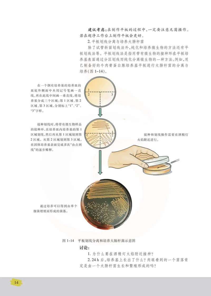 生物选修1生物技术实践_高中课本电子全科人教版语数英政历地物化生必修选修全套课本PPT_高中课本苏教版_高中生物苏教版