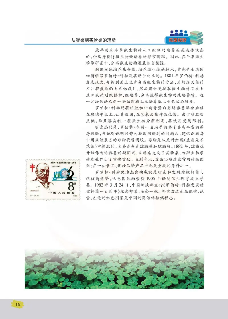 生物选修1生物技术实践_高中课本电子全科人教版语数英政历地物化生必修选修全套课本PPT_高中课本苏教版_高中生物苏教版