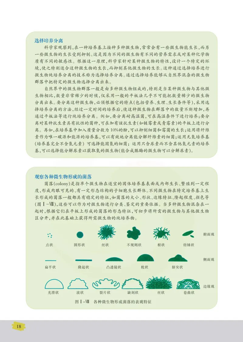 生物选修1生物技术实践_高中课本电子全科人教版语数英政历地物化生必修选修全套课本PPT_高中课本苏教版_高中生物苏教版