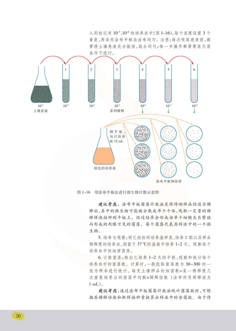 生物选修1生物技术实践_高中课本电子全科人教版语数英政历地物化生必修选修全套课本PPT_高中课本苏教版_高中生物苏教版